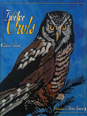 cover image of Twelve Owls